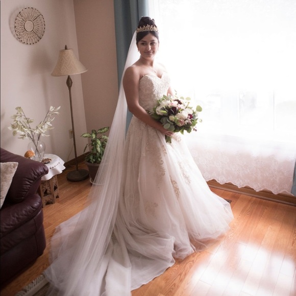Wedding Dress - Desi | M1716L - Picture 5 of 8